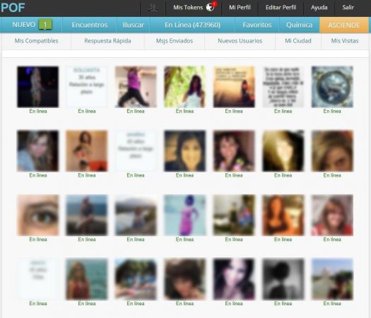 pof plenty of fish-funciona